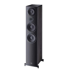 Comprar HECO AUDIO AURORA 1000 Ebony black (Unidad) - 800 €