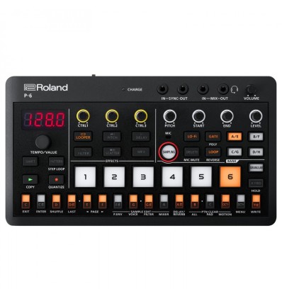 Roland P-6 - Sampler Portátil con Secuenciador de 64 Pasos