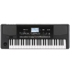 KORG PA-300 teclado interactivo professional arranger de 61 teclas